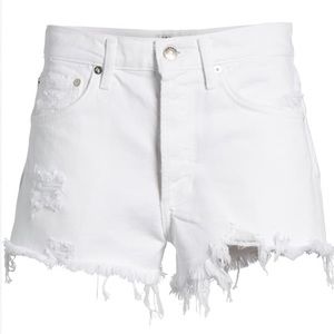 Agolde Parker Shorts Detour - 32 NWT